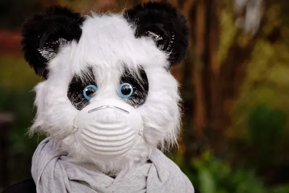 Καζίνο Ειγτ Στορμ Υποστηριξη